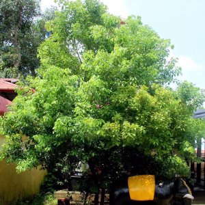 IMG 20260807 WA0173