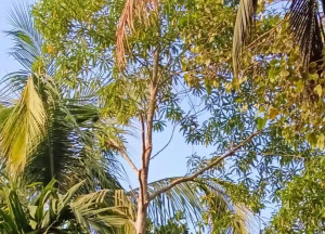 IMG 20260807 WA0180